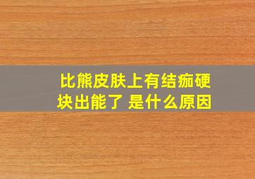 比熊皮肤上有结痂硬块出能了 是什么原因